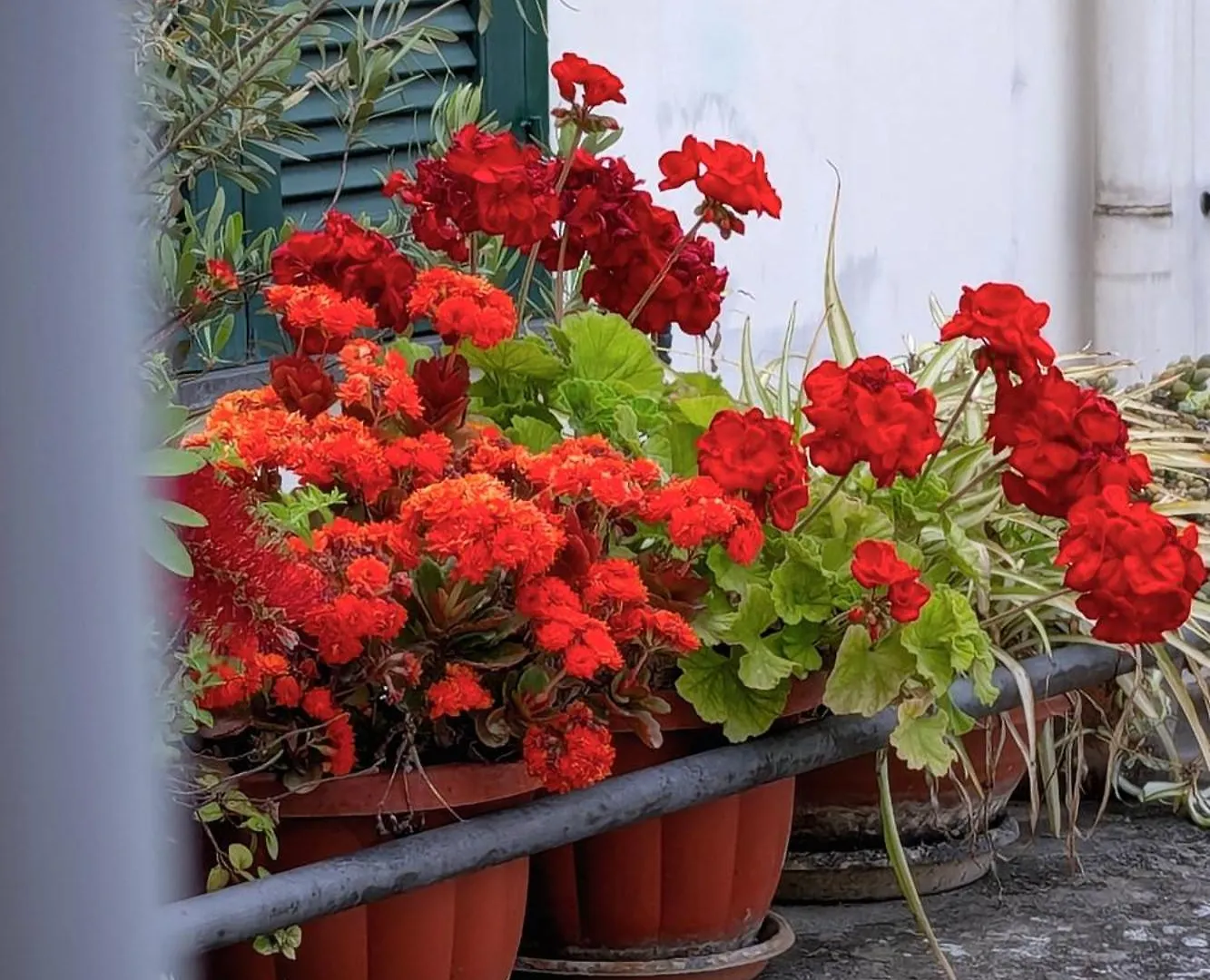 Guest house Incoming Roof Bovio Hotel Naples Italy